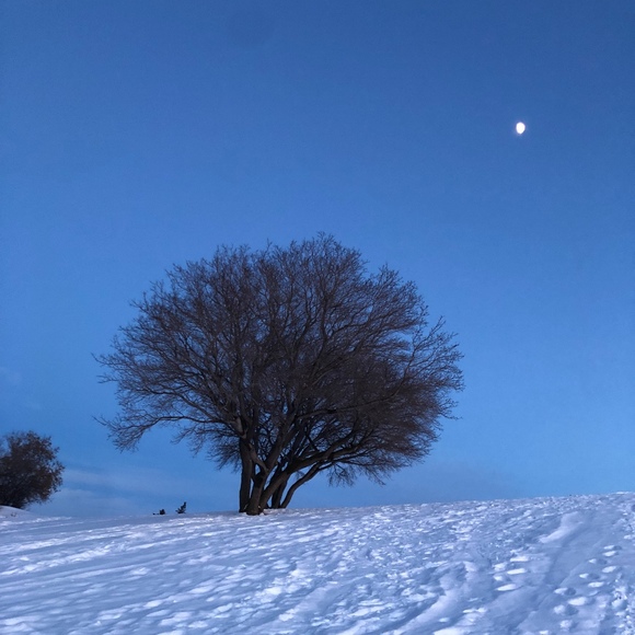 Meet your Posher, Kiera - Picture 1 of 1